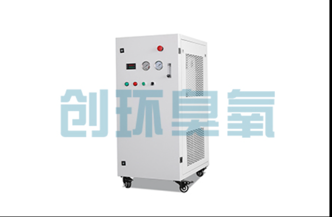 黄石工厂化养鲈必看:2026年臭氧发生器替代传统消毒的最新方案