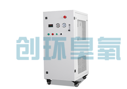 黄石石斑鱼养殖水质调控完整指南:臭氧发生器配置与操作步骤
