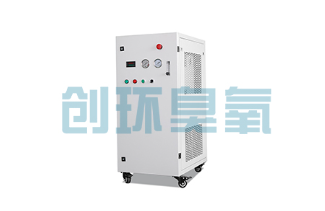 黄石比传统换水更高效?臭氧发生器在石斑鱼养殖中的水质净化原理解析